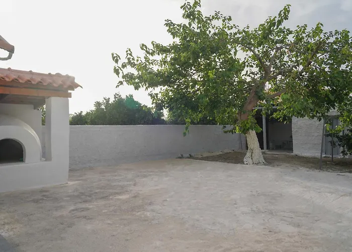 αυτονομη κατοικια κληματαρια Nea Tirins